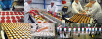 Industries Agroalimentaires, viandes, produits laitiers, produits élaborés, céréales, huile et corps gras, sucre et produits dérivés, boissons et produits divers